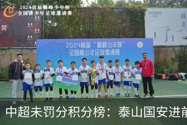 中超未罚分积分榜：泰山国安进前3，申花仍第5，海牛三镇陷保级区