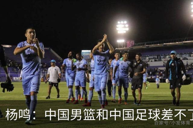 杨鸣：中国男篮和中国足球差不了太多，没有气场，失去了绝对优势