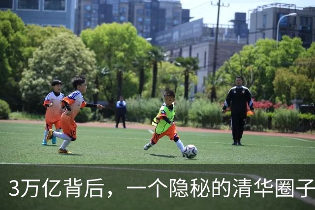 3万亿背后，一个隐秘的清华圈子